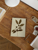 Herbarium III