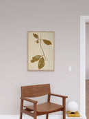 Herbarium IV
