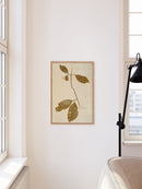 Herbarium IV