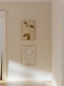 Herbarium IV