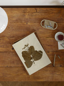 Herbarium IX