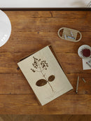 Herbarium V