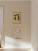 Herbarium XII