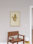 Herbarium XI