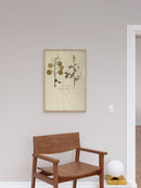 Herbarium X