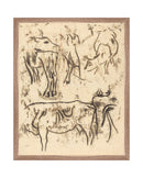 Herd Study