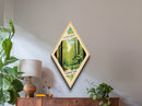 Congaree National Park Diamond Shaped Travel Poster Canvas Art Print, Canvas Wall Art, Travel Gift, South Carolina Travel Art