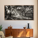 Oak Tree Path, Autumn Forest Glow, Nature Trail Photography, Framed Canvas Print, Hallway Wall Art, Earthy Decor, Woodland Art