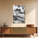 Windswept Tree, Coastal Landscape, Stormy Sky, Framed Canvas Print, Modern Rustic Wall Art, Nature Photography, Bedroom Wall Accent