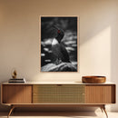Loon Call, Singing Bird, Red Beak, Monochrome Framed Canvas Print, Wildlife Wall Decor, Bird Lover Wall Art, Rustic Cabin Accent