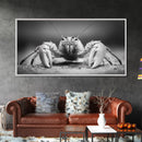 Hermit Crab, Close-Up, Ocean Creature, Monochrome Nature, Framed Canvas Print, Marine Wall Decor, Coastal Kitchen Wall Art, Entryway Accent