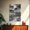 Forest Shadows, Tall Pines, Natural Light, Framed Canvas Print, woodland landscape, rustic cabin decor, autumn forest art