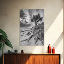 Palm Tree Beach, Coastal Dunes, Dramatic Sky, Framed Canvas Print, Tropical Wall Art, Boho Living Room Decor, Beach House Art