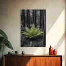 Green Fern, Forest Focus, Lush Nature, Woodland Light, Framed Canvas Print, Botanical Wall Art, Bedroom Decor, Minimalist Plant Art