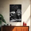 Loon Call, Singing Bird, Red Beak, Monochrome Framed Canvas Print, Wildlife Wall Decor, Bird Lover Wall Art, Rustic Cabin Accent