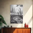 Windblown Trees, stormy sky, moody landscape, wabi sabi art, black and white, framed canvas print, rustic decor, nature photography
