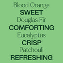 Holly Berries® Essential Oil Blend