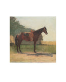 Horse in a Farm