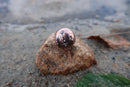 Horseshoe Crab Copper Lapel Pin