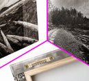 Forest Ocean Trail, Stormy Beach Scene, Driftwood Pathway, Framed Canvas Print, Cabin Entryway or Nature-Inspired Living Room Art
