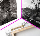 Barren Tree Landscape, Post Fire Terrain, Dystopian Forest Scene, Survival Mood, Canvas Print, Office Wall Art, Dark Nature Decor