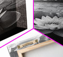 Tranquil Lotus, Cloud Reflections, Water Lily Pond, Framed Canvas Print, Zen Wall Art, Spa Bathroom Decor, Modern Nature Photography