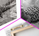 Desert Lizard, Reptile Closeup, Sunbaked Texture, Canvas Print, Wildlife Photography, Bold Wall Art, Southwestern Living Room