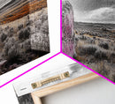 Painted Boulder, Wild Plains, Desert Glow, Framed Canvas Print, Fall Wall Art, Rustic Decor, Southwestern Art, Landscape Photography