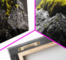 Yellow Moss, Stone Detail, Minimal Nature, Framed Canvas Print, modern zen wall art, earthy bathroom decor, botanical accent