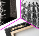 Cactus Spines, southwest wall art, desert art, botanical prints, geometric wall art, nature photography, sharp contrast, Framed Canvas Print