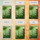 Insect Art Print, Nature Art, Lady Bug Wall Art, Canvas Print, Wall Art, 3 Piece Wall Art, Country Home Wall Art, Apartment Wall Decor