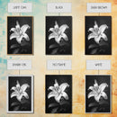 Elegant Lily, Black and White, Floral Beauty, Canvas Print, Botanical Wall Art, Minimalist Art, Bedroom Wall Decor, Nature Photography