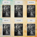 Fern Pathway, Enchanted Forest, Woodland Trail, Framed Canvas Print, Nature Walk Wall Art, Boho Bedroom Decor, Moody Landscape Style