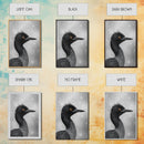 Black Loon, Bird Closeup, Snowy Glow, Winter Nature Canvas Print, Wildlife Wall Art, Modern Bedroom Decor, Birdwatcher Gift Print
