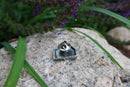House Lapel Pin