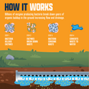 Leach and Drain Field Blast