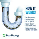 Drain and Fruit Fly Eliminator