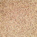 Organic Hulled Barley | 25 lb | Pack of 2 | Non-GMO | Shipping Included | Grain Place Foods