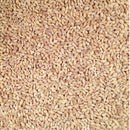 Organic Hulled Barley | Pack of 10 | 2 lb | Non-GMO | Grain Place Foods
