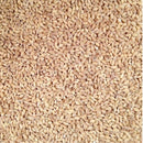 Organic Hulled Barley | 2 lb | Non-GMO | Grain Place Foods