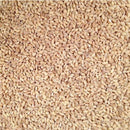 Organic Hulled Barley | 5 lb | Pack of 2 | Non-GMO | Shipping Included | Grain Place Foods