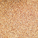 Organic Hulled Spelt | 2 lb | Pack of 2 | Non-GMO | Grain Place Foods