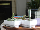 Art Decor Rectangular Planter By Plantatorem