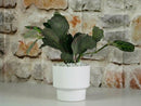Art Decor Round Planter By Plantatorem