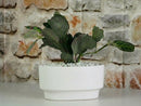 Art Decor Oval Planter By Plantatorem