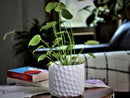 Art Decor Honeycomb Planter By Plantatorem