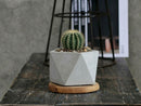 Geometry Pentagon Planter By Plantatorem