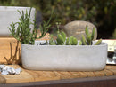 Low Oval Concrete Planter By Plantatorem