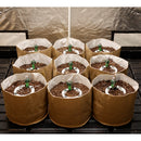 Preset Blumat Grow Tent Irrigation Kit