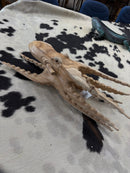 Suar Octopus Sculpture